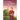 A Courtship for the Amish Nanny: An Uplifting Inspirational Romance