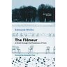 The Flaneur: A Stroll Through the Paradoxes of Paris