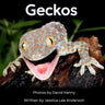 Geckos: Get to Know More About These Vocal Lizards!