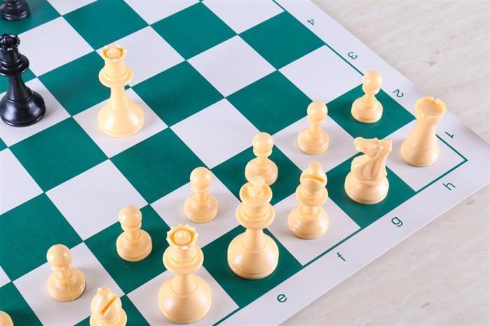 Quality Regulation Chess Set by Chess House