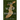 The Wild Huntress
