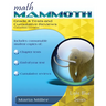 Math Mammoth Grade 8 Tests and Cumulative Reviews, Canadian Version