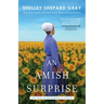 An Amish Surprise