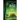 The Rise: Book 3 in The Wall Trilogy