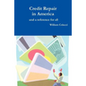 Credit Repair in America