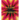 Liz Collins: Motherlode