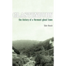 Glastenbury: The History of a Vermont Ghost Town