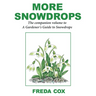 More Snowdrops