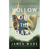 Hollow Out the Dark