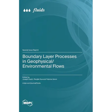 Boundary Layer Processes in Geophysical/Environmental Flows