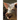 Study Guide: George Orwell's Animal Farm