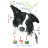 Dog's Best Friend