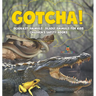 Gotcha! Deadliest Animals Deadly Animals for Kids Children's Safety Books