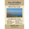 Sea of Galilee & Northern Israel Biblical Sites Guide