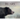 Bears: The Mighty Grizzlies of the West