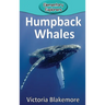 Humpback Whales
