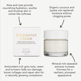 ROSEWATER CREAM | Radiance Enhancing Moisturizer by M.S. Skincare