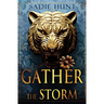 Gather the Storm: Discreet Edition