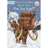 What Was the Ice Age?