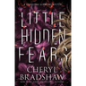 Little Hidden Fears