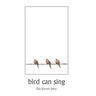bird can sing