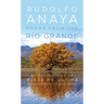 Poems from the Río Grande: Volume 14
