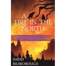 A Fire in the North: Book 2 of the Annals of Lindormyn