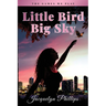 Little Bird, Big Sky