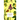 The Informed Gardener