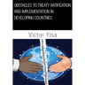 Obstacles to Treaty Ratification and Implementation in Developing Countries