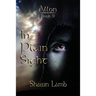 Allon Book 9 - In Plain Sight
