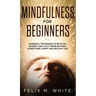 Mindfulness for Beginners: Powerful Techniques to Be In the Moment and Live a Problem Free, Stress Free, Happy and Healthy Life