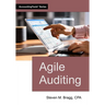 Agile Auditing
