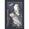 What Passes for Wisdom