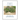 Herbal Medicines for Parkinson's Disease