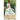 The Heiress Bride: A Thrilling Regency Romance with a Dash of Mystery