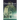 Dream Seer: Old Wisdoms
