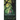 Rootbound