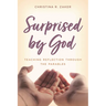 Surprised by God: Teaching Reflection Through the Parables