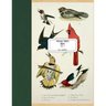 Vintage Prints: Birds: Vol. 7