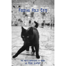 Feeding Holy Cats: The Poet's Experience In Israel