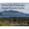 From Our Footsteps, Giant Forests Grow: A Photographic Introspection of British Columbia's Coastal Tree Planting Industry