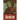 The Aeneid