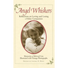 Angel Whiskers: Reflections on Loving and Losing a Feline Companion