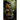 Whispers in the Rain