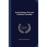 Inertial Range Flow and Turbulent Cascades