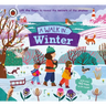 A Walk in Winter: Lift the Flaps to Reveal the Secrets of the Season