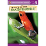 Life in the Amazon Rainforest