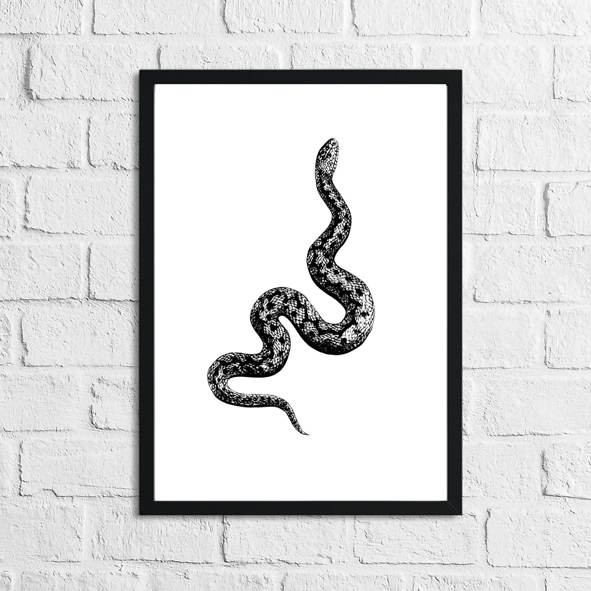 Serpent Snake Simple Home Wall Decor Print by WinsterCreations™ Official Store