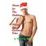 Homo For The Holidays: A Collection of Mostly Gay Christmas Tales